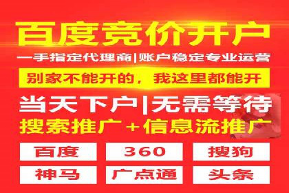 SEM推广优化策略：成功案例解析